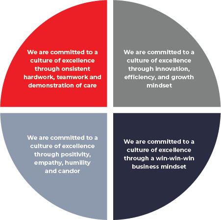 Mission and Values Graphic